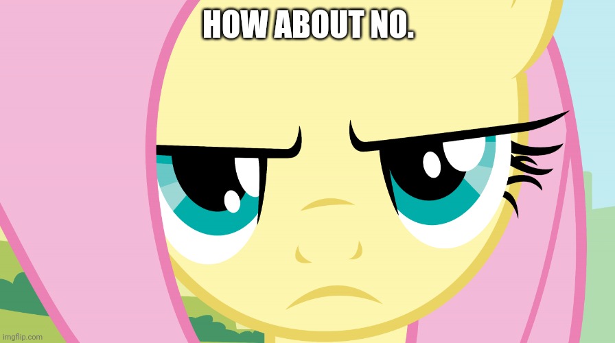 Fluttershy Not Amused (MLP) | HOW ABOUT NO. | image tagged in fluttershy not amused mlp | made w/ Imgflip meme maker