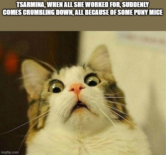 Scared Cat | TSARMINA, WHEN ALL SHE WORKED FOR, SUDDENLY COMES CRUMBLING DOWN, ALL BECAUSE OF SOME PUNY MICE | image tagged in memes,scared cat | made w/ Imgflip meme maker