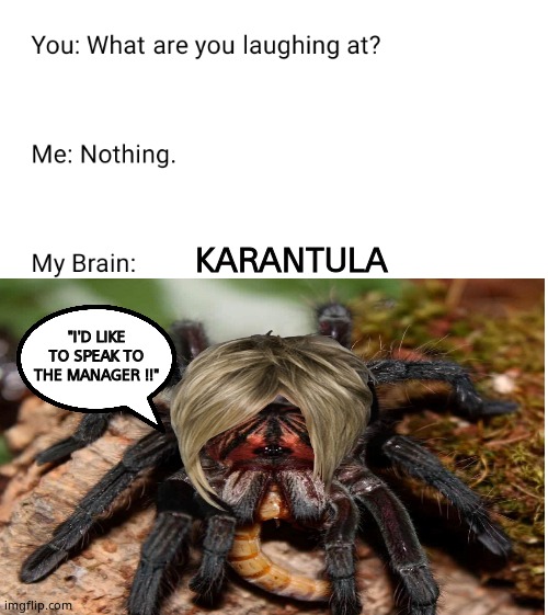 Karantula | KARANTULA; "I'D LIKE TO SPEAK TO THE MANAGER !!" | image tagged in memes,funny memes,karens,tarantula,wildlife,fun | made w/ Imgflip meme maker