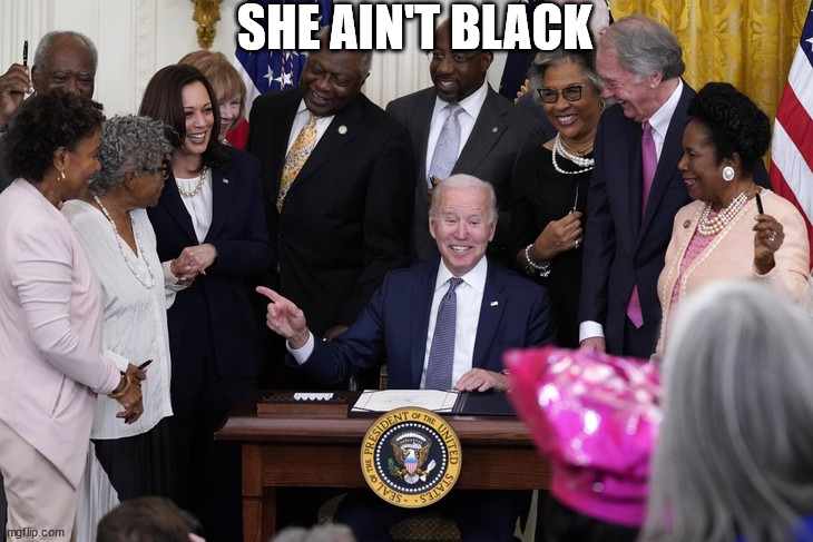 racist biden | SHE AIN'T BLACK | image tagged in racist,biden | made w/ Imgflip meme maker