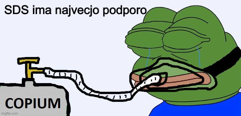 Pepe Copium | SDS ima najvecjo podporo | image tagged in pepe copium | made w/ Imgflip meme maker