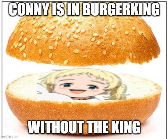 Nothing burger |  CONNY IS IN BURGERKING; WITHOUT THE KING | image tagged in nothing burger | made w/ Imgflip meme maker