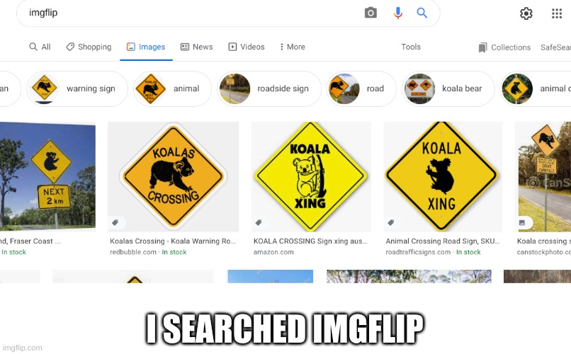messed up google | I SEARCHED IMGFLIP | image tagged in google,funny,koala,sign,messed up,what | made w/ Imgflip meme maker