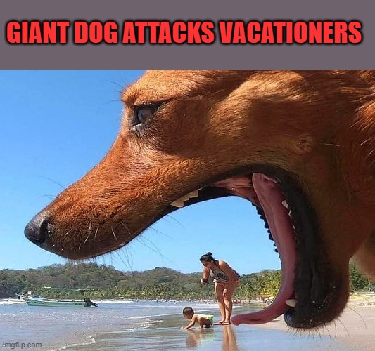 GIANT DOG ATTACKS VACATIONERS | made w/ Imgflip meme maker