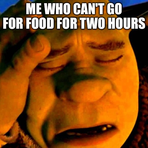 sad shrek | ME WHO CAN'T GO FOR FOOD FOR TWO HOURS | image tagged in sad shrek | made w/ Imgflip meme maker