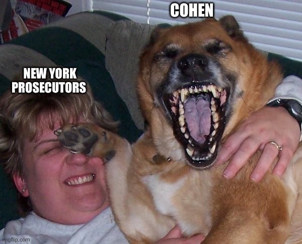 laughing dog | COHEN NEW YORK PROSECUTORS | image tagged in laughing dog | made w/ Imgflip meme maker