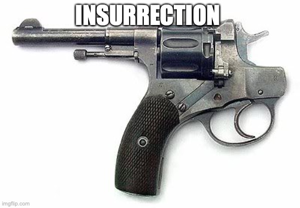 Backwards Gun | INSURRECTION | image tagged in backwards gun | made w/ Imgflip meme maker