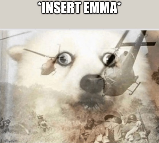 PTSD dog | *INSERT EMMA* | image tagged in ptsd dog | made w/ Imgflip meme maker