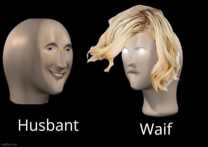 Husbant waif | image tagged in husbant waif | made w/ Imgflip meme maker