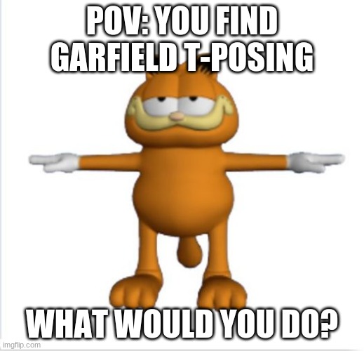 t-posing garfield: hello | POV: YOU FIND GARFIELD T-POSING; WHAT WOULD YOU DO? | image tagged in garfield t-pose | made w/ Imgflip meme maker
