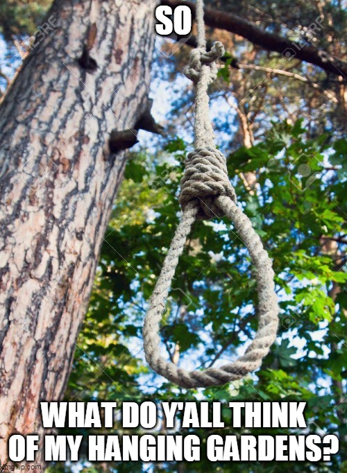 SO; WHAT DO Y'ALL THINK OF MY HANGING GARDENS? | image tagged in eyeroll,hanging,trees,garden,dark humor,bad puns | made w/ Imgflip meme maker