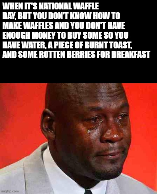 crying michael jordan | WHEN IT'S NATIONAL WAFFLE DAY, BUT YOU DON'T KNOW HOW TO MAKE WAFFLES AND YOU DON'T HAVE ENOUGH MONEY TO BUY SOME SO YOU HAVE WATER, A PIECE OF BURNT TOAST, AND SOME ROTTEN BERRIES FOR BREAKFAST | image tagged in crying michael jordan | made w/ Imgflip meme maker