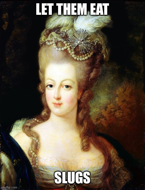 marie antoinette | LET THEM EAT SLUGS | image tagged in marie antoinette | made w/ Imgflip meme maker