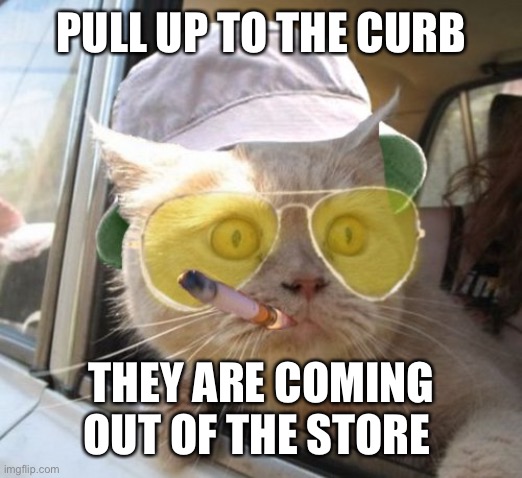 Fear And Loathing Cat Meme | PULL UP TO THE CURB THEY ARE COMING OUT OF THE STORE | image tagged in memes,fear and loathing cat | made w/ Imgflip meme maker