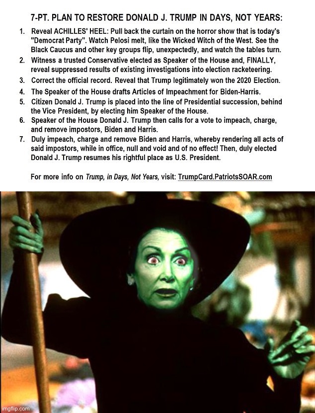 im tryin to make sense outta this but sounds pretty good. what do u think | image tagged in 7 point plan to restore donald trump,wicked pelosi witch | made w/ Imgflip meme maker