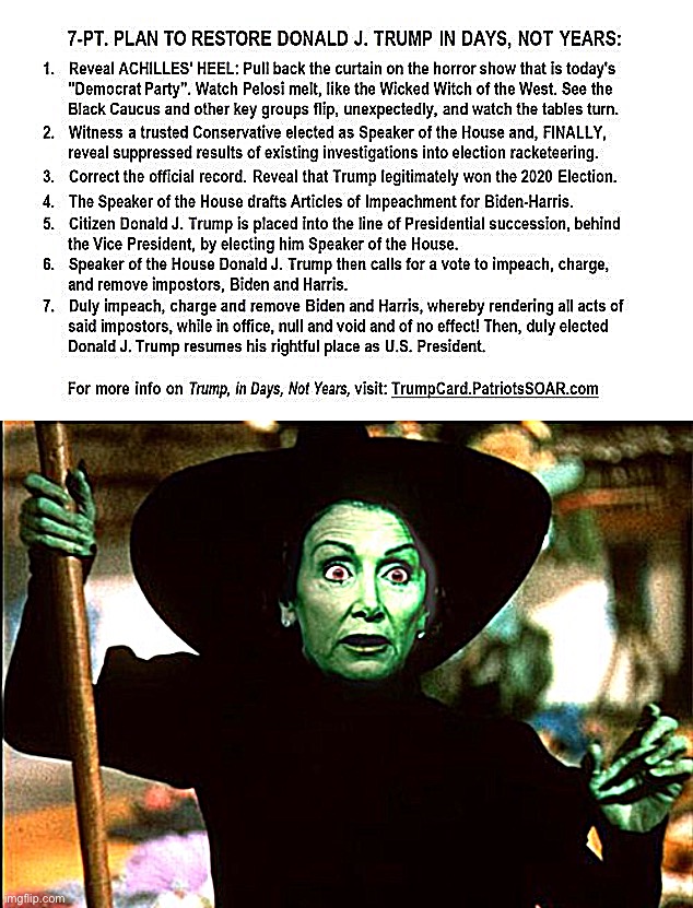 Lmfao | image tagged in 7 point plan to restore donald trump,wicked pelosi witch | made w/ Imgflip meme maker