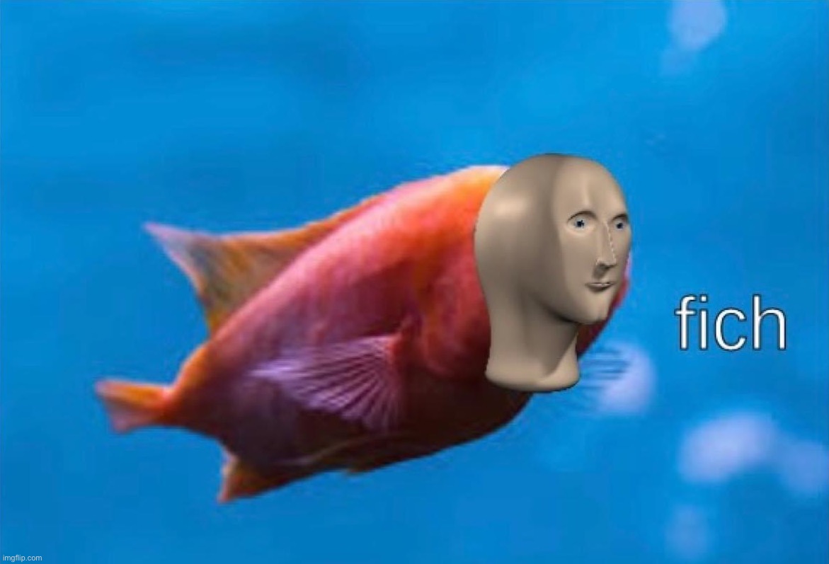 Meme man fish | image tagged in meme man fish | made w/ Imgflip meme maker