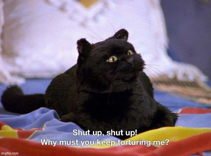 Tortured Salem | image tagged in tortured salem | made w/ Imgflip meme maker