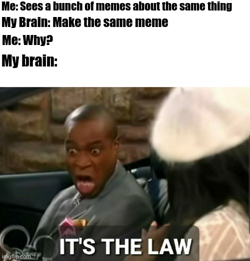 It's the law | Me: Sees a bunch of memes about the same thing; My Brain: Make the same meme; Me: Why? My brain: | image tagged in it's the law | made w/ Imgflip meme maker