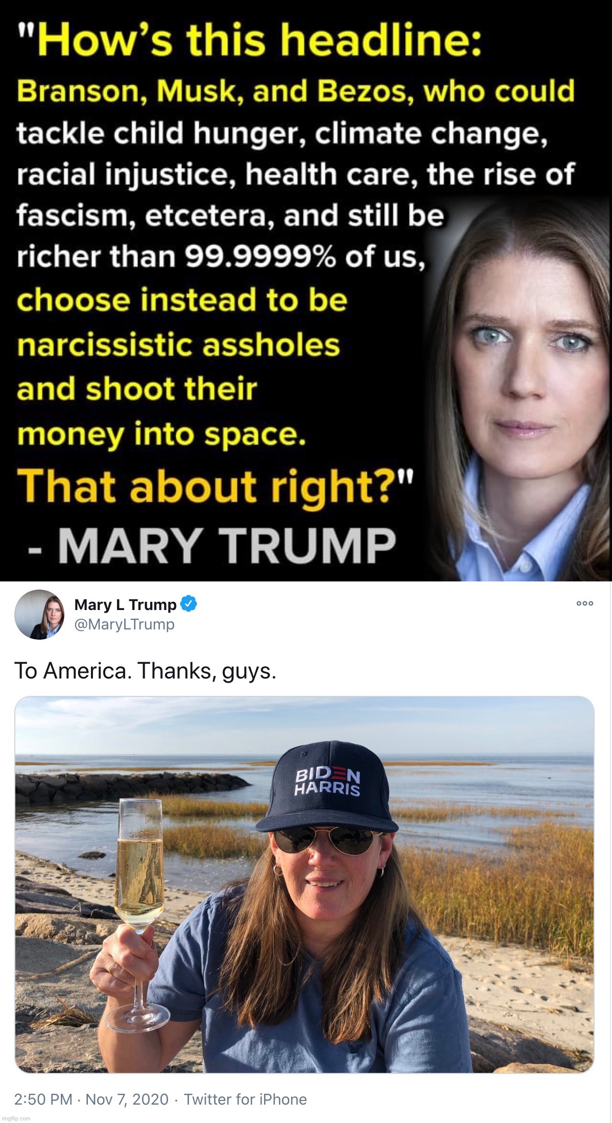 Every wacky conservative family has that one relative who is based | image tagged in based mary trump,mary trump,trump,jeff bezos,elon musk,based | made w/ Imgflip meme maker