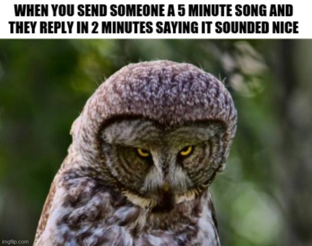 Didn't listen to it | image tagged in music,memes,animals,funny,funny memes | made w/ Imgflip meme maker