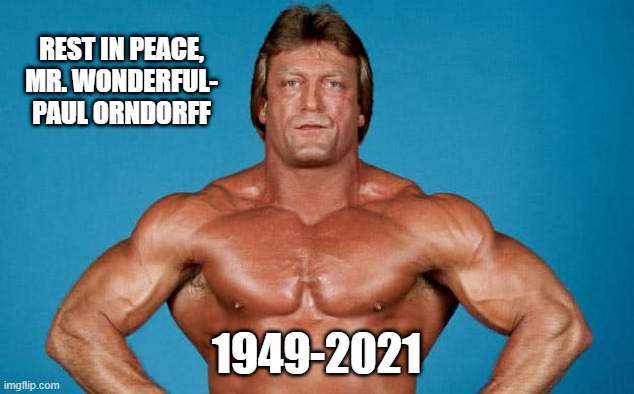 Mr. Wonderful |  REST IN PEACE, MR. WONDERFUL- PAUL ORNDORFF; 1949-2021 | image tagged in wrestlemania,wwf,wrestling | made w/ Imgflip meme maker