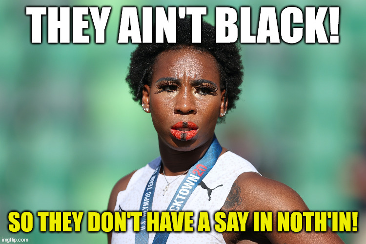 THEY AIN'T BLACK! SO THEY DON'T HAVE A SAY IN NOTH'IN! | made w/ Imgflip meme maker