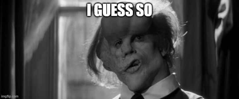 Elephant man | I GUESS SO | image tagged in elephant man | made w/ Imgflip meme maker