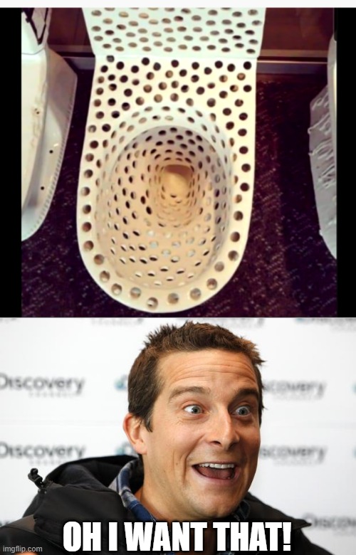 WHY WOULD ANYONE BUT BEAR GRYLLS WANT THIS? | OH I WANT THAT! | image tagged in bear grylls approved food,toilet,toilet humor,bear grylls | made w/ Imgflip meme maker