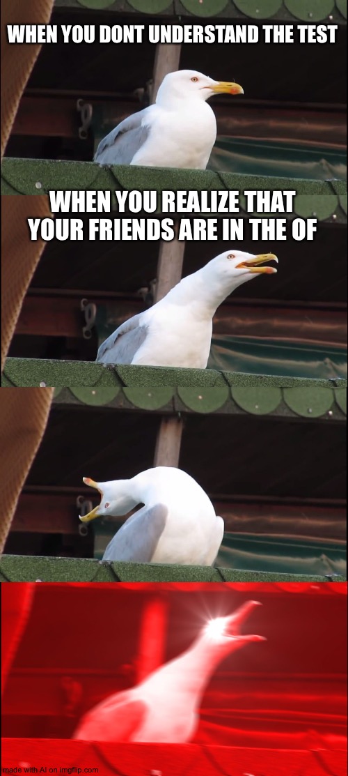 guys are my friends really in the of? | WHEN YOU DONT UNDERSTAND THE TEST; WHEN YOU REALIZE THAT YOUR FRIENDS ARE IN THE OF | image tagged in memes,inhaling seagull | made w/ Imgflip meme maker