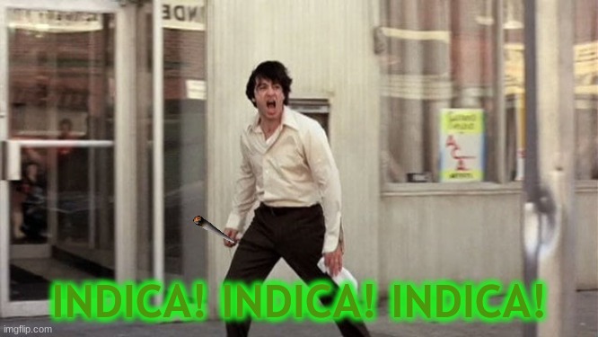 When I get to the dispensary... | INDICA! INDICA! INDICA! | image tagged in al pacino attica | made w/ Imgflip meme maker