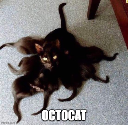 GOOD KITTY | OCTOCAT | image tagged in cats,funny cats | made w/ Imgflip meme maker