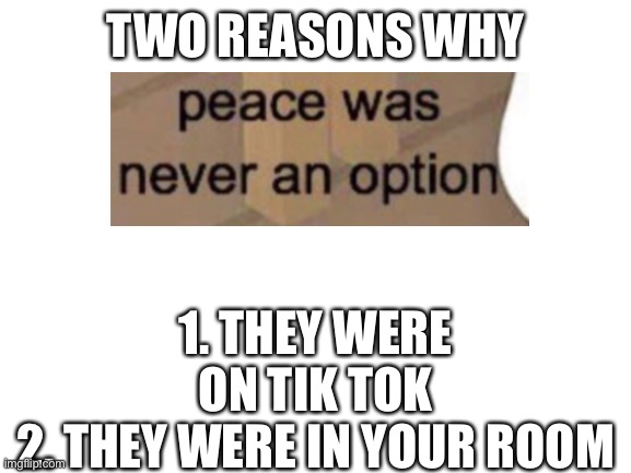 Blank White Template | TWO REASONS WHY 1. THEY WERE ON TIK TOK
2. THEY WERE IN YOUR ROOM | image tagged in blank white template | made w/ Imgflip meme maker
