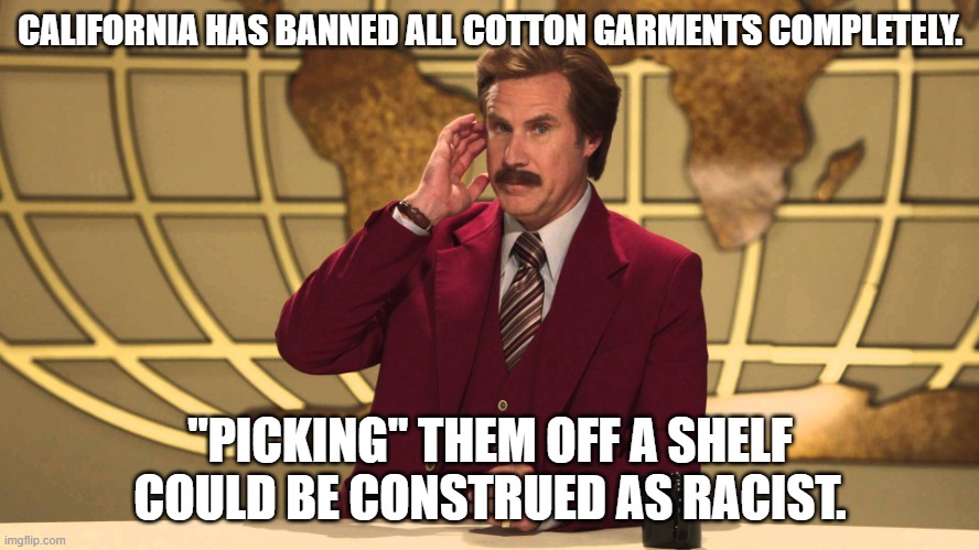 This Just In! | CALIFORNIA HAS BANNED ALL COTTON GARMENTS COMPLETELY. "PICKING" THEM OFF A SHELF COULD BE CONSTRUED AS RACIST. | image tagged in this just in | made w/ Imgflip meme maker