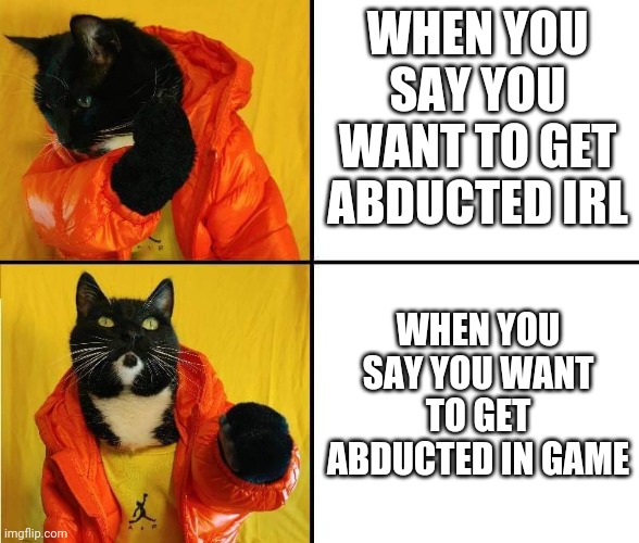 Bruh | WHEN YOU SAY YOU WANT TO GET ABDUCTED IRL; WHEN YOU SAY YOU WANT TO GET ABDUCTED IN GAME | image tagged in kitty drake | made w/ Imgflip meme maker