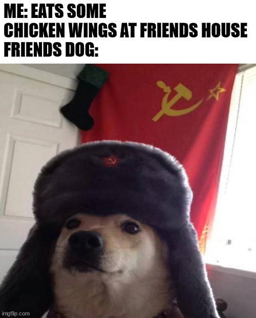 our chicken wings | ME: EATS SOME CHICKEN WINGS AT FRIENDS HOUSE
FRIENDS DOG: | image tagged in russian doge | made w/ Imgflip meme maker