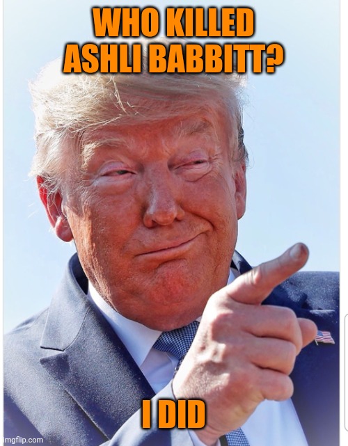 Trump pointing | WHO KILLED ASHLI BABBITT? I DID | image tagged in trump pointing | made w/ Imgflip meme maker