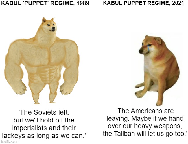 Afghan 'puppets,' then & now | KABUL 'PUPPET' REGIME, 1989; KABUL PUPPET REGIME, 2021; 'The Americans are leaving. Maybe if we hand over our heavy weapons, the Taliban will let us go too.'; 'The Soviets left, but we'll hold off the imperialists and their lackeys as long as we can.' | image tagged in memes,buff doge vs cheems | made w/ Imgflip meme maker