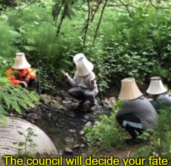 The council will decide your fate Blank Meme Template