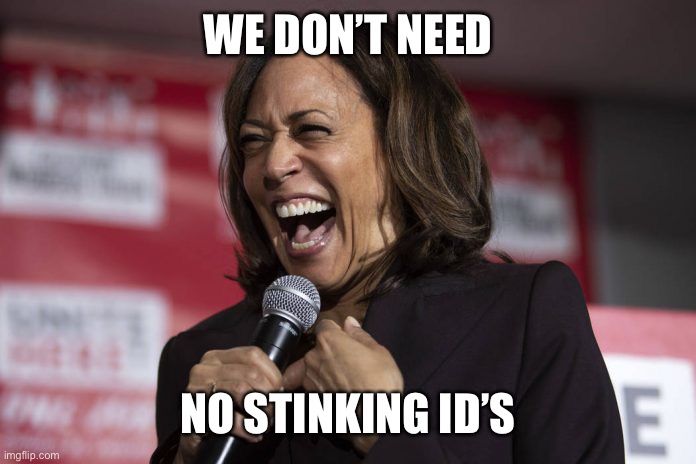 Kamala laughing | WE DON’T NEED NO STINKING ID’S | image tagged in kamala laughing | made w/ Imgflip meme maker