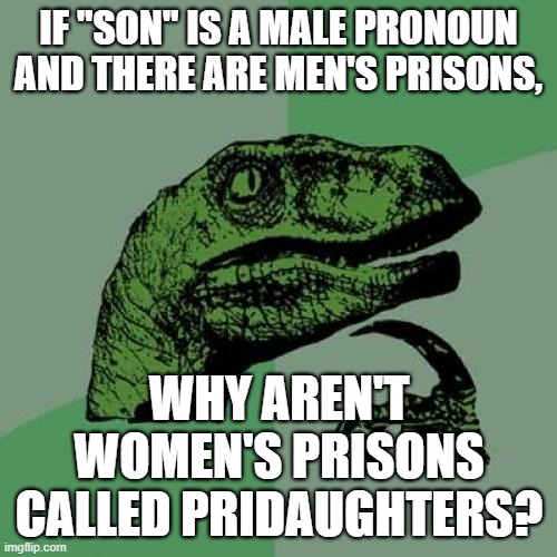 This is blowing my mind! | IF "SON" IS A MALE PRONOUN AND THERE ARE MEN'S PRISONS, WHY AREN'T WOMEN'S PRISONS CALLED PRIDAUGHTERS? | image tagged in memes,philosoraptor,philosophy,prison,funny,questions | made w/ Imgflip meme maker