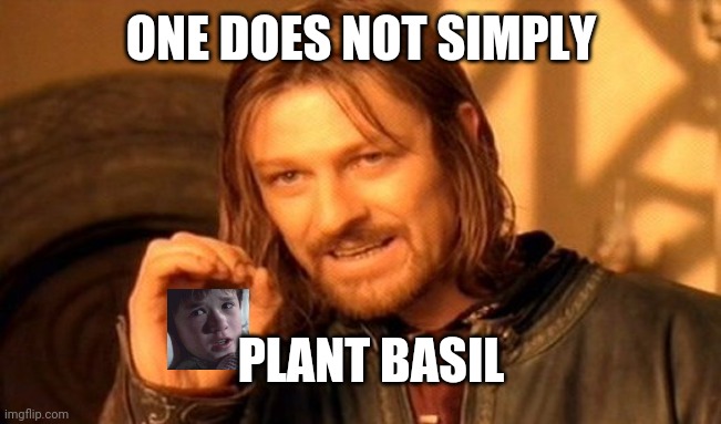 One Does Not Simply | ONE DOES NOT SIMPLY; PLANT BASIL | image tagged in memes,one does not simply | made w/ Imgflip meme maker