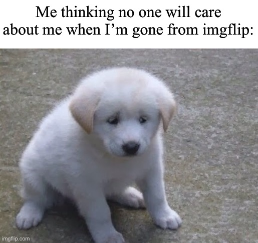Sad, sad doggo :'( | Me thinking no one will care about me when I’m gone from imgflip: | image tagged in sad sad doggo ' | made w/ Imgflip meme maker