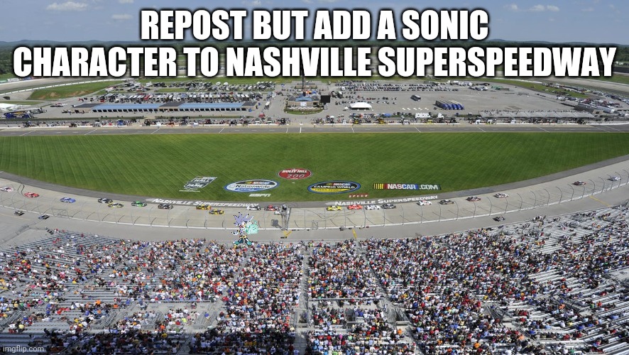 REPOST BUT ADD A SONIC CHARACTER TO NASHVILLE SUPERSPEEDWAY | image tagged in repost but add x | made w/ Imgflip meme maker
