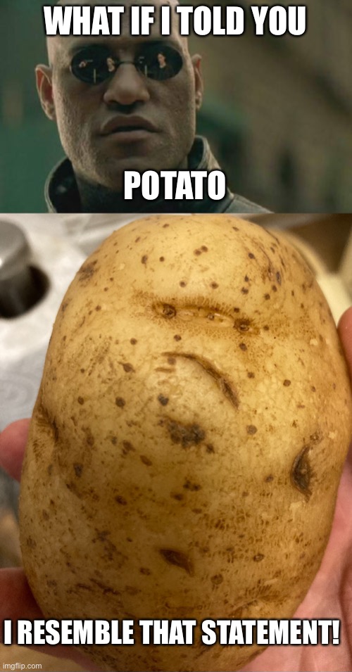 WHAT IF I TOLD YOU; POTATO; I RESEMBLE THAT STATEMENT! | image tagged in memes,matrix morpheus | made w/ Imgflip meme maker
