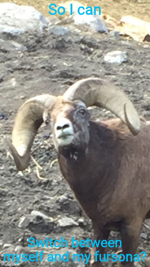 Intrigued Mountain Goat  | So I can Switch between myself and my fursona? | image tagged in intrigued mountain goat | made w/ Imgflip meme maker