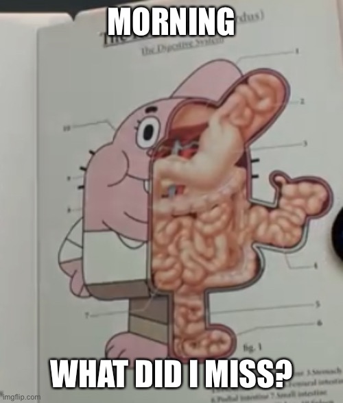 Richard Watterson anatomy | MORNING; WHAT DID I MISS? | image tagged in richard watterson anatomy | made w/ Imgflip meme maker