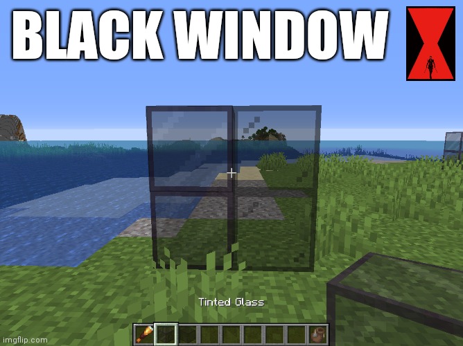 Why am I doing this | BLACK WINDOW | image tagged in black widow,minecraft | made w/ Imgflip meme maker