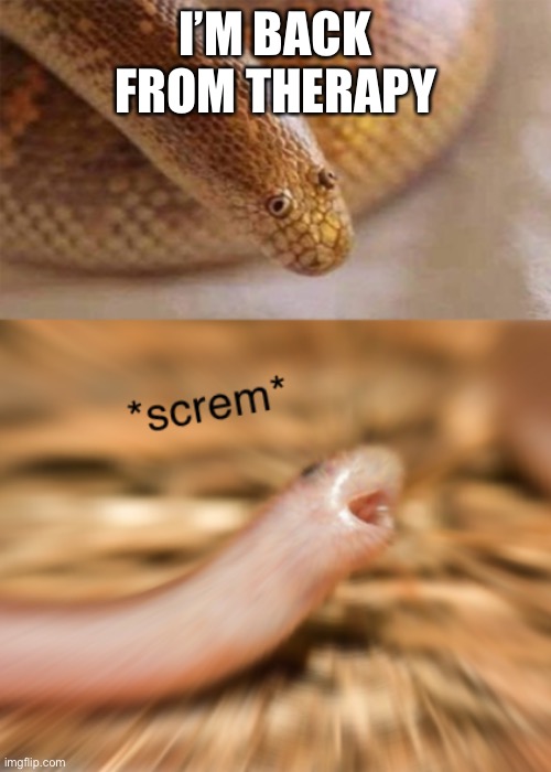 Snek screm | I’M BACK FROM THERAPY | image tagged in snek screm | made w/ Imgflip meme maker