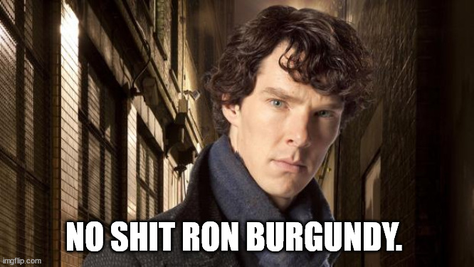 Sherlock holmes | NO SHIT RON BURGUNDY. | image tagged in sherlock holmes | made w/ Imgflip meme maker